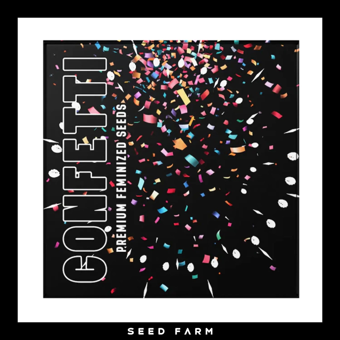 Doja x Duke of Erb, Confetti, feminisierte Cannabis Samen, 6 Stück, Vorderansicht