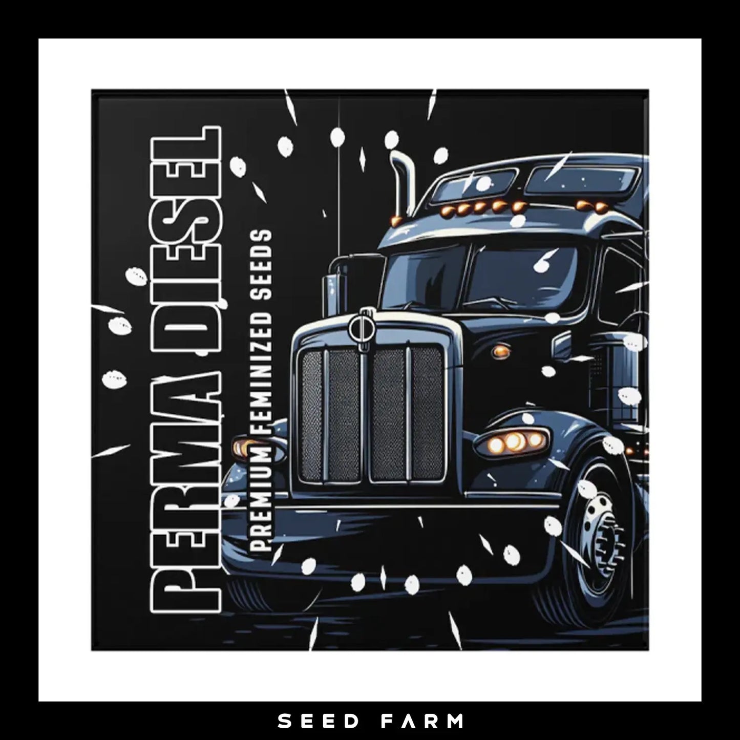 Doja x Duke of Erb, Perma Diesel, feminisierte Cannabis Samen, 6 Stück, Vorderansicht