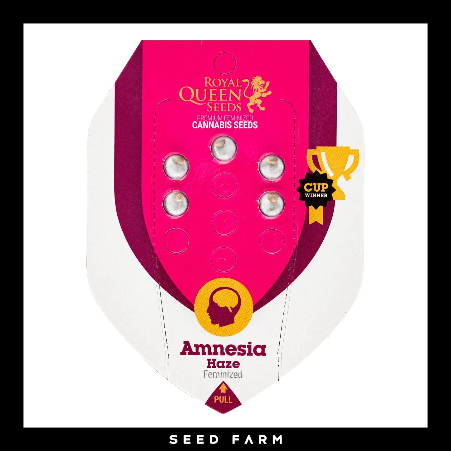 Royal Queen Seeds Amnesia Haze, feminisierte Cannabis Samen, 5 Stück, Vorderansicht