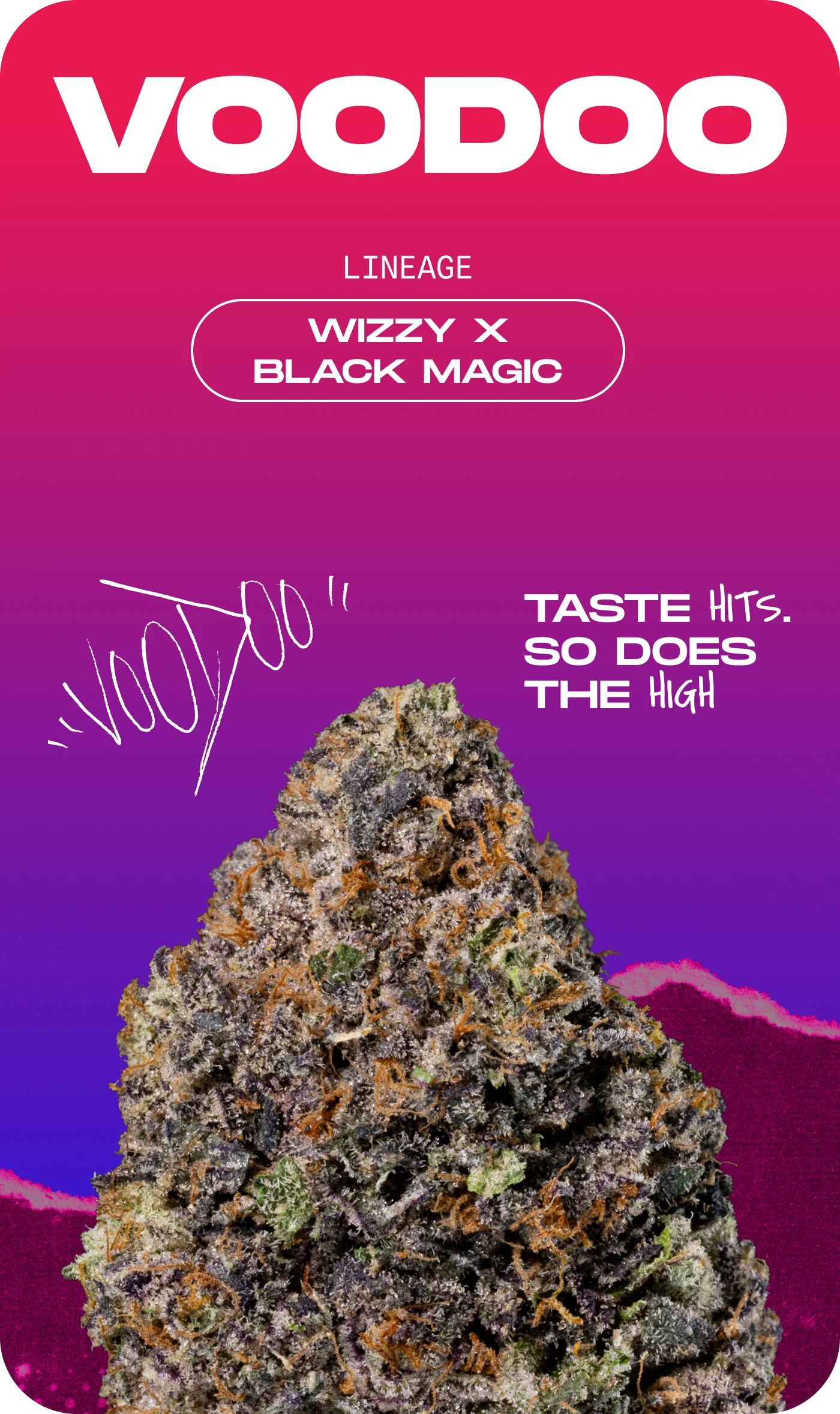 Wizard Trees - VODOO - Feminized