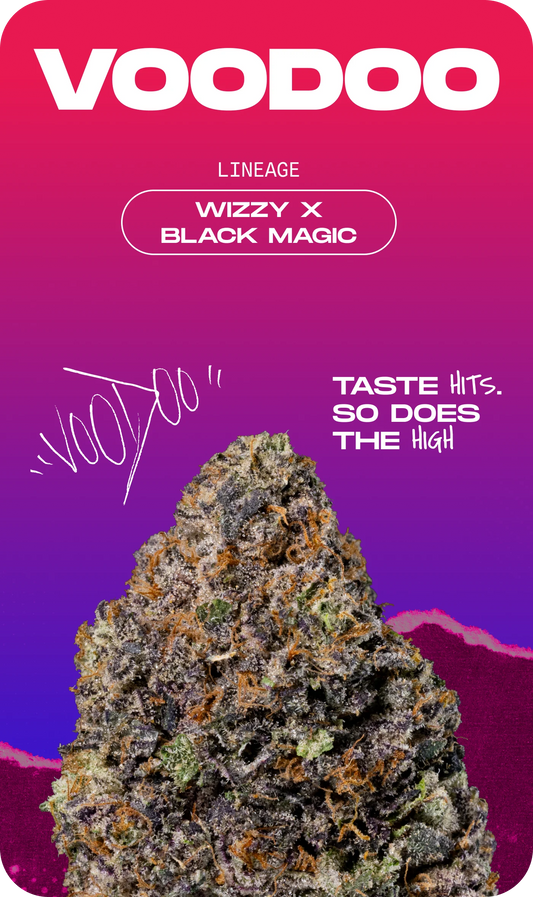 Wizard Trees - VODOO - Feminized