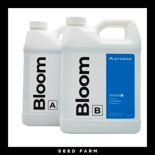 Athena, Bloom A und B, Kanister, Vorderansicht