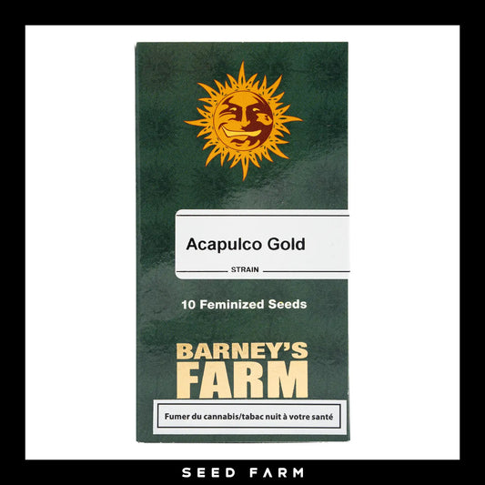Barneys Farm Acapulco Gold feminisierte Cannabis Samen, 1 Stück, Vorderansicht