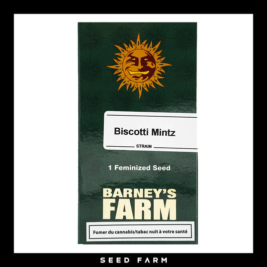 Barneys Farm Biscotti Mintz feminisierte Cannabis Samen, 1 Stück, Vorderansicht