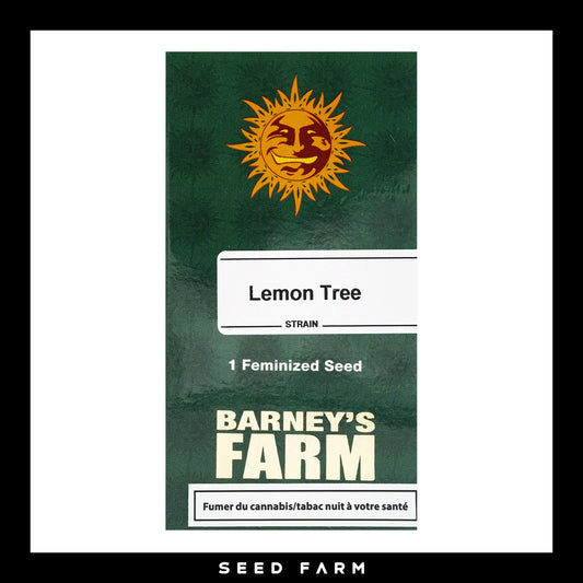 Barneys Farm Lemon Tree feminisierte Cannabis Samen, 1 Stück, Vorderansicht
