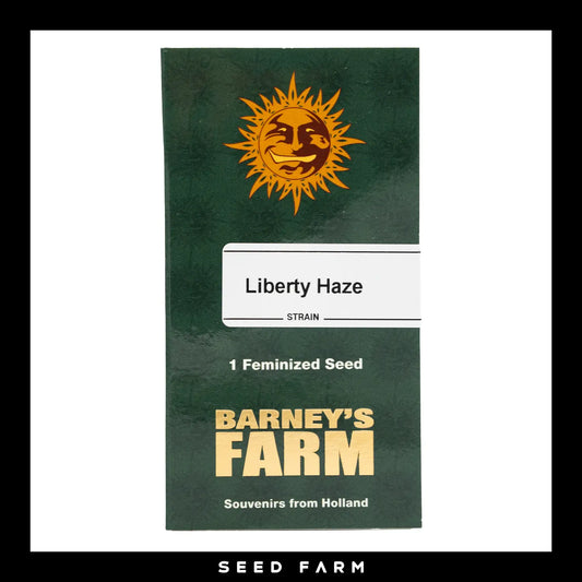 Barneys Farm, Liberty Haze, feminisierte Cannabis Samen, 1 Stück, Vorderansicht