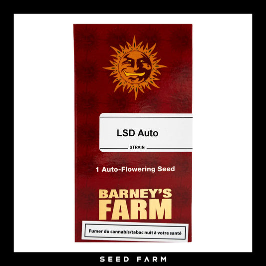 Barneys Farm LSD Automatic Cannabis Samen, 1 Stück, Vorderansicht