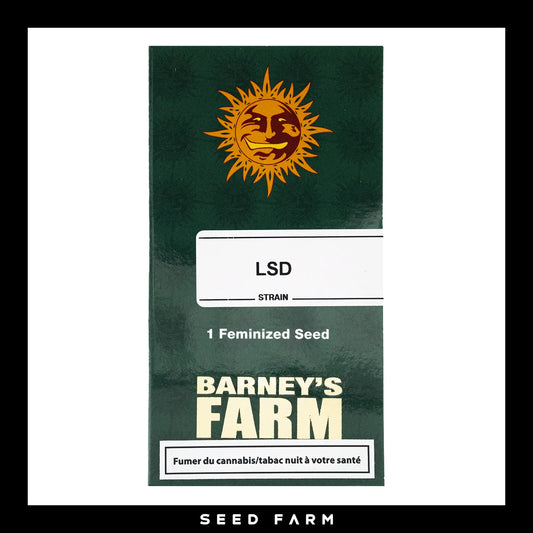 Barneys Farm LSD feminisierte Cannabis Samen, 1 Stück, Vorderansicht