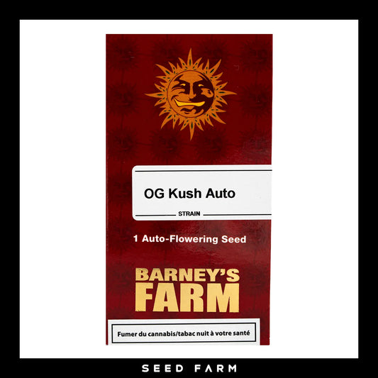 Barneys Farm OG Kush Automatic Cannabis Samen, 1 Stück, Vorderansicht