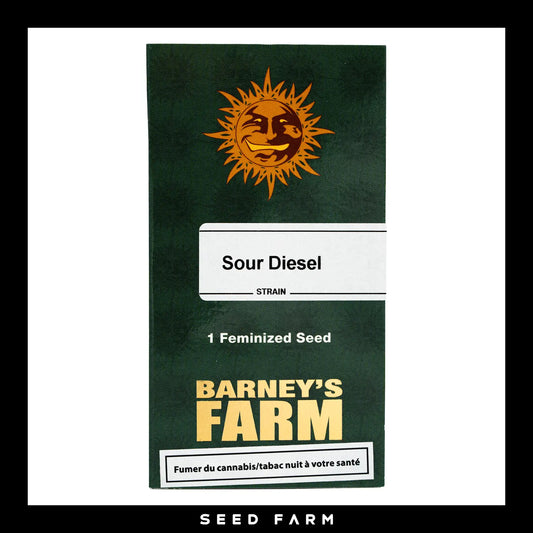 Barneys Farm Sour Diesel feminisierte Cannabis Samen, 1 Stück, Vorderansicht