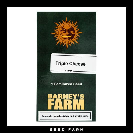 Barneys Farm Triple Cheese feminisierte Cannabis Samen, 1 Stück, Vorderansicht
