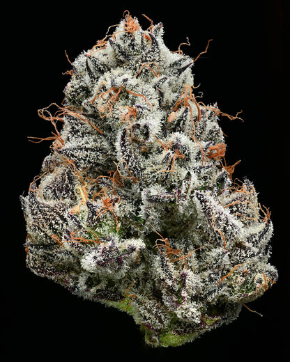 Barney's Farm x Backpackboyz - BLACK CHERRY GUSHERS - Feminized - 3 Seeds