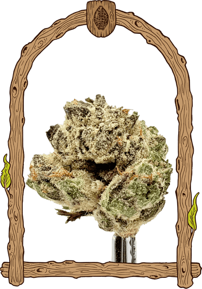 Exotic Seed - EXOTIC RUNTZ - Feminized