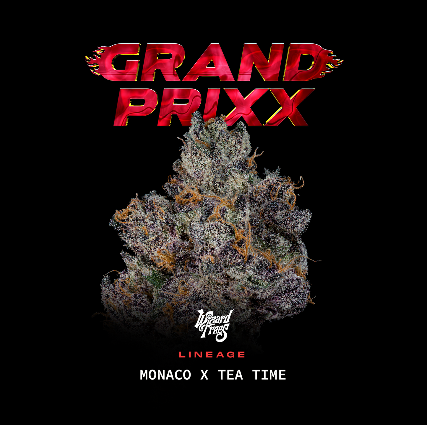 Wizard Trees - GRAND PRIXX - Feminized