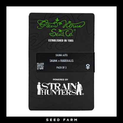Green House Seeds, Skunk, automatische Cannabis Samen, 3 Stück, Vorderansicht