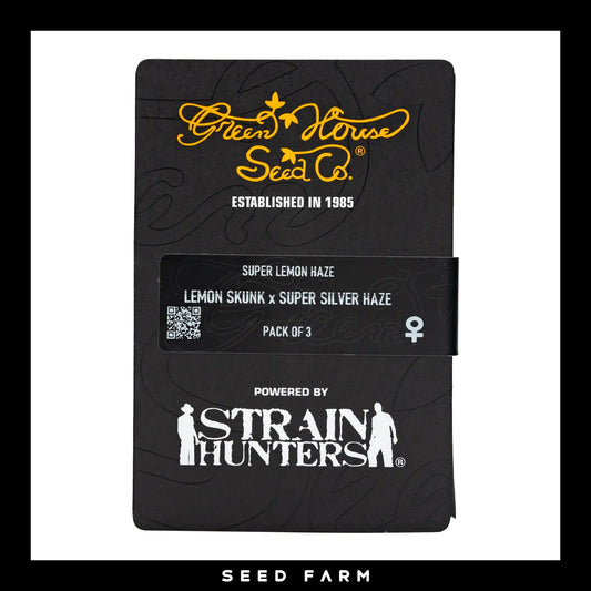 Green House Seeds, Super Lemon Haze, feminisierte Cannabis Samen, Vorderansicht