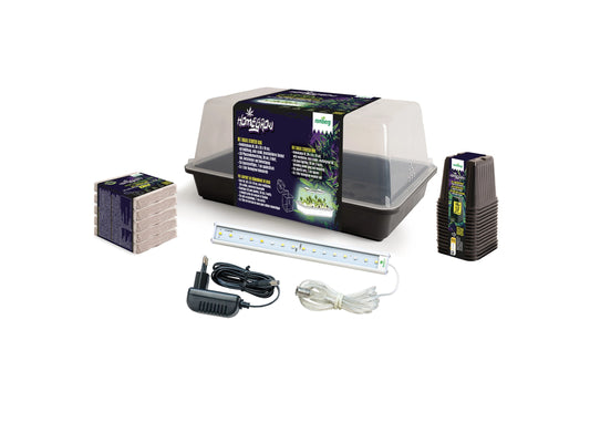 Romberg - Zimmergewächshaus Basic Starter Box