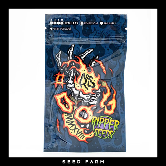Ripper Seeds kaufen – Seed Farm