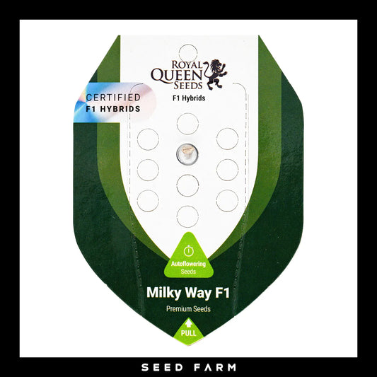 Royal Queen Seeds Milky Way F1, automatic Cannabis Samen, 1 Stück, Vorderansicht