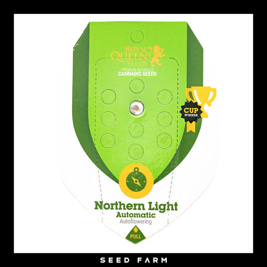Royal Queen Seeds Northern Light, automatic Cannabis Samen, 1 Stück, Vorderansicht