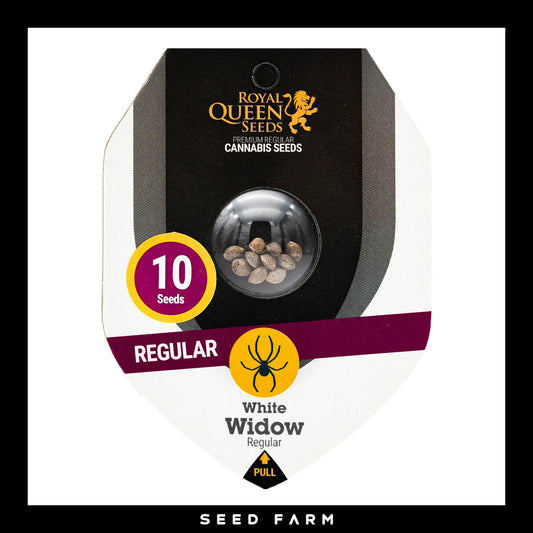 Royal Queen Seeds White Widow, regular Cannabis Samen, 10 Stück, Vorderansicht