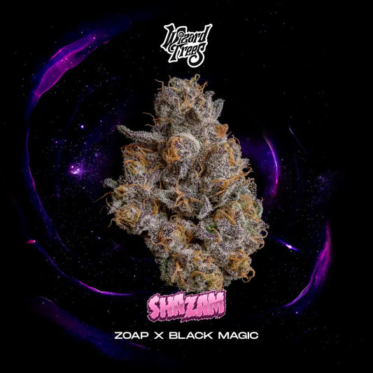 Wizard Trees - SHAZAM - Feminized