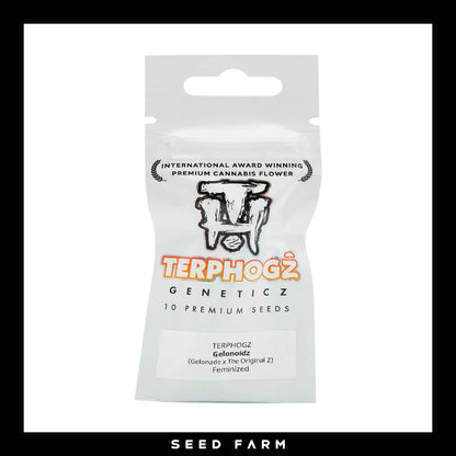 Terphogz, Gelonoidz, Feminisiert, 10 Seeds, Verpackung, Vorderansicht
