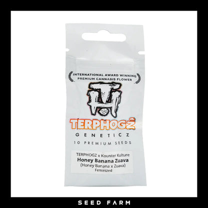 Terphogz, Honey Banana Zuava, Feminisiert, 10 Seeds, Verpackung, Vorderansicht