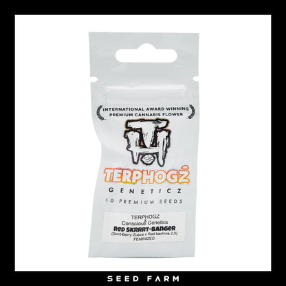 Terphogz, Red Skrrrt-Banger, Feminisiert, 10 Seeds, Verpackung, Vorderansicht