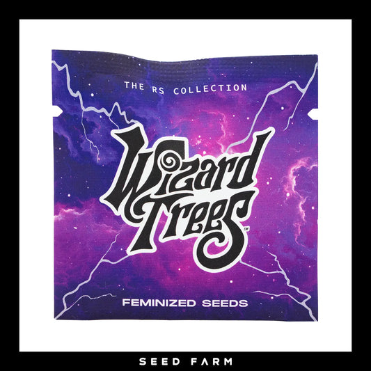 Wizard Trees Galactic Rainbow, RS Collection, feminisierte Cannabis Samen, 6 Stück, Vorderansicht