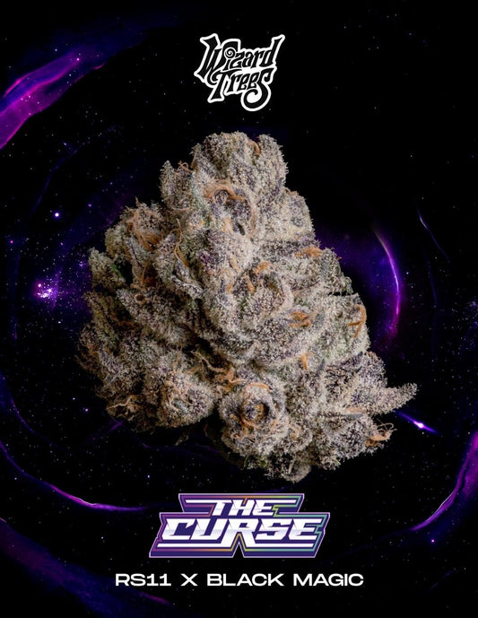 Wizard Trees - THE CURSE - Feminized