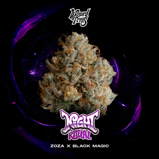 Wizard Trees - NIGHT RITUAL - Feminized