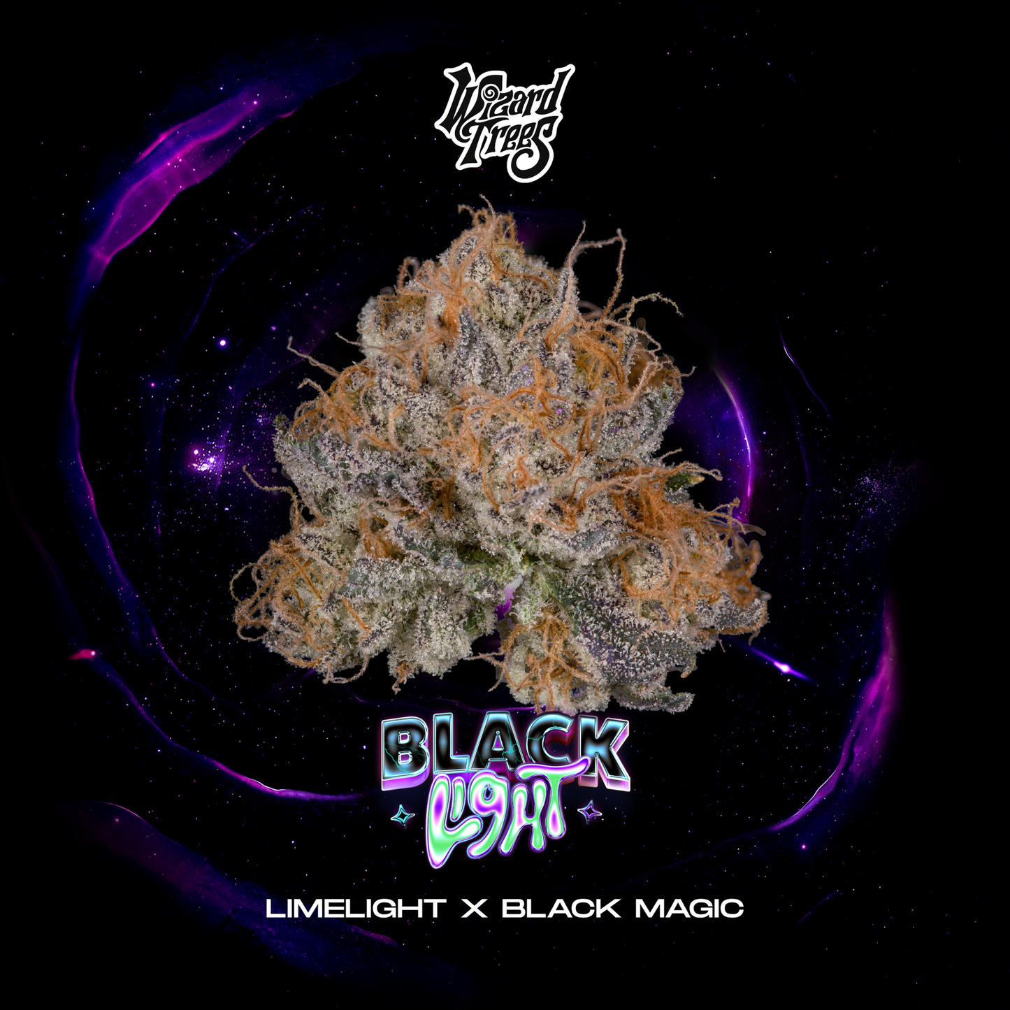 Wizard Trees - BLACKLIGHT - Feminized