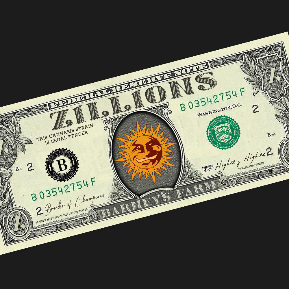 Barney's Farm - ZILLIONS  - Feminized - 3 Seeds